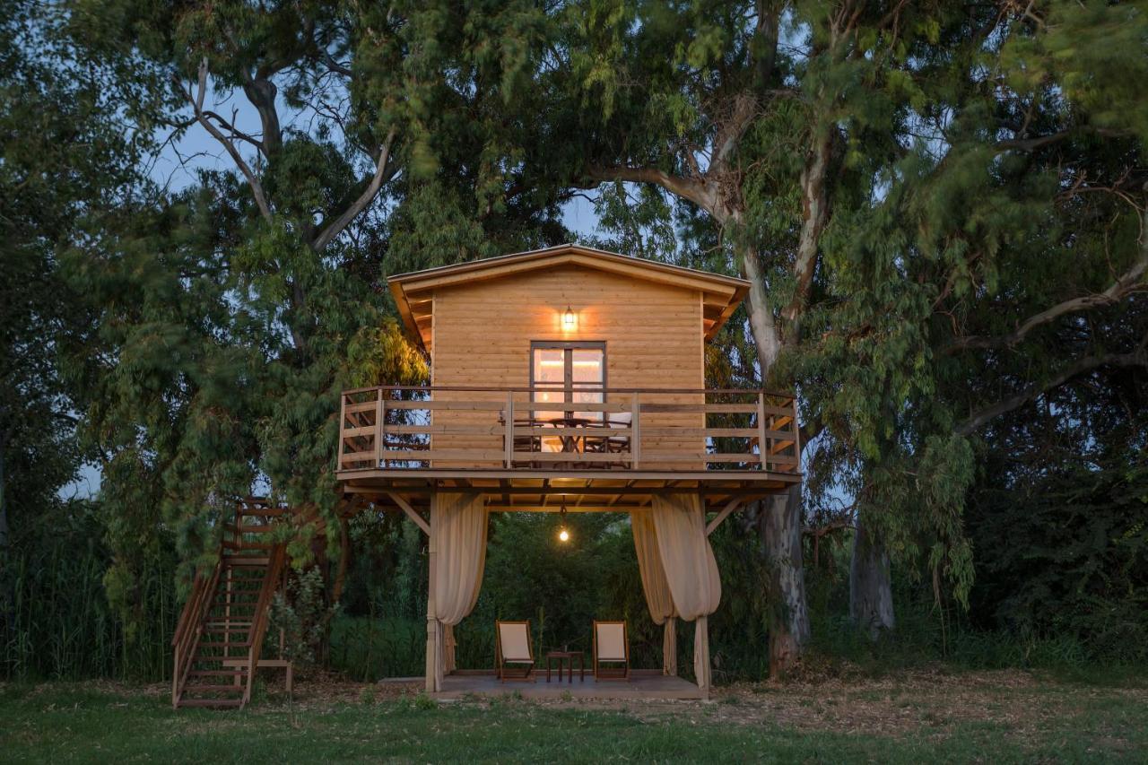 River Treehouse Laganas Eksteriør billede