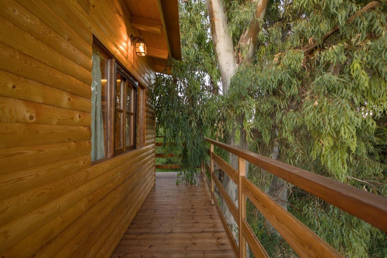 River Treehouse Laganas Eksteriør billede