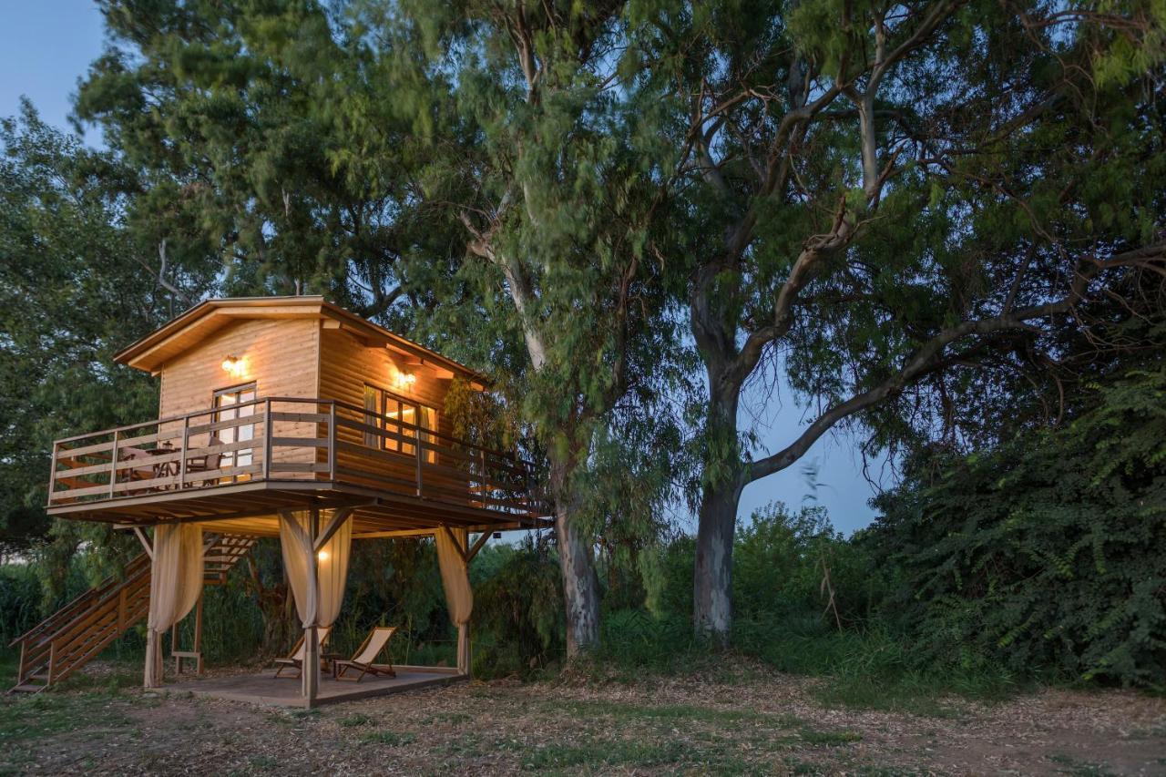River Treehouse Laganas Eksteriør billede