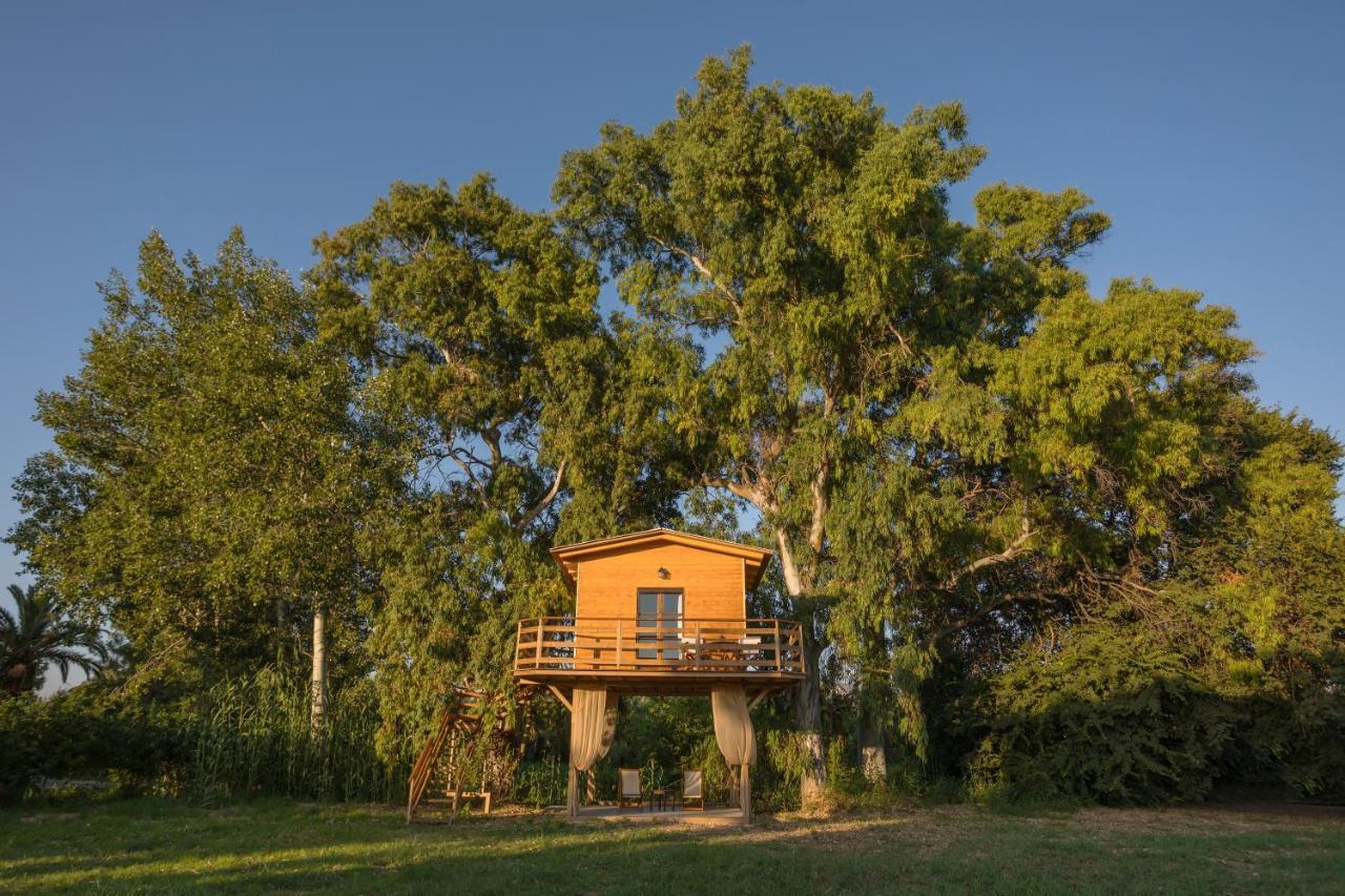 River Treehouse Laganas Eksteriør billede